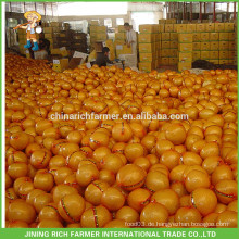 Export Russland Chinesisch Frische Honig Pomelo